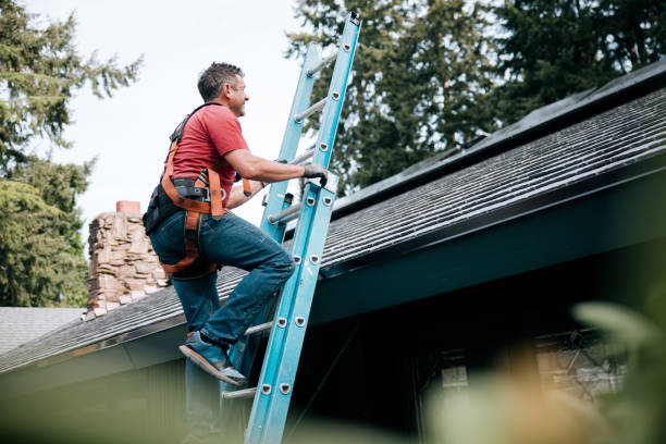 Best Chimney Flashing Repair  in Monticello, IN
